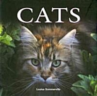 Cats (Paperback, 1st)