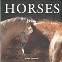 Horses (Paperback, 1st)