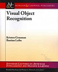 Visual Object Recognition (Paperback)
