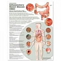 Understanding Inflammatory Bowel Disease (Ibd) Anatomical Chart (Other)