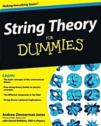 String Theory for Dummies (Paperback)