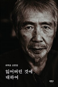 잃어버린 것에 대하여 :최백호 산문집 