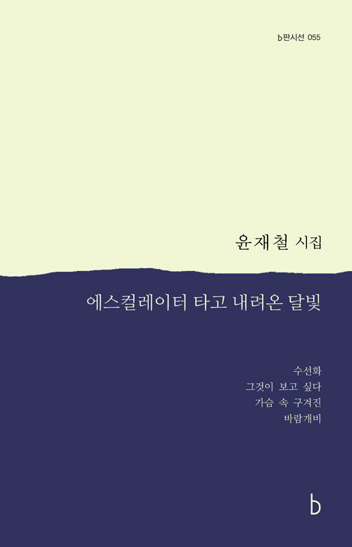 에스컬레이터를 타고 내려온 달빛