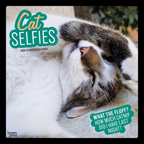 Cat Selfies 2024 Square (Wall)
