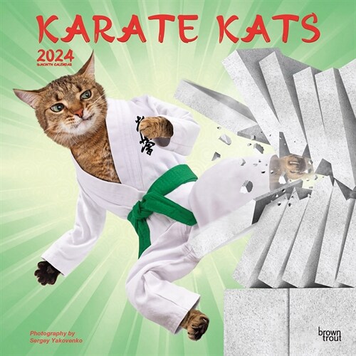 Karate Kats 2024 Square (Wall)