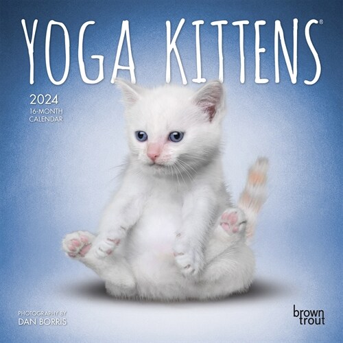 Yoga Kittens 2024 Mini 7x7 (Mini)