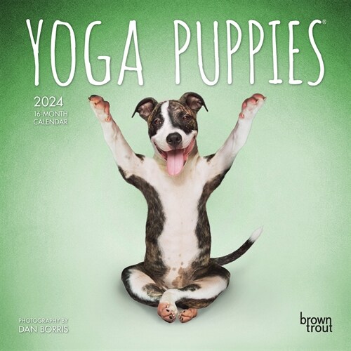 Yoga Puppies 2024 Mini 7x7 (Mini)