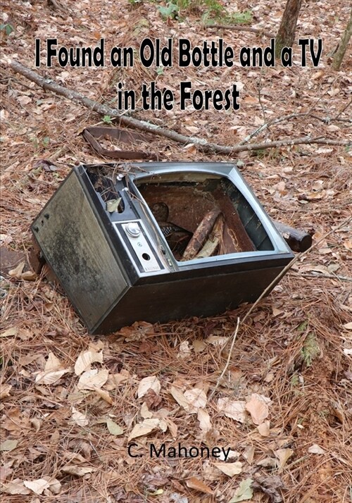 I Found an Old Bottle and a TV in the Forest (Paperback)