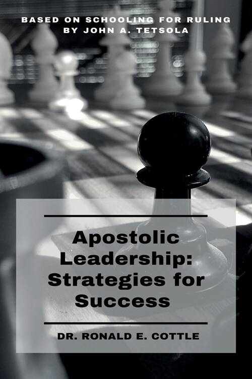 Apostolic Leadership: Strategies for Success (Paperback)