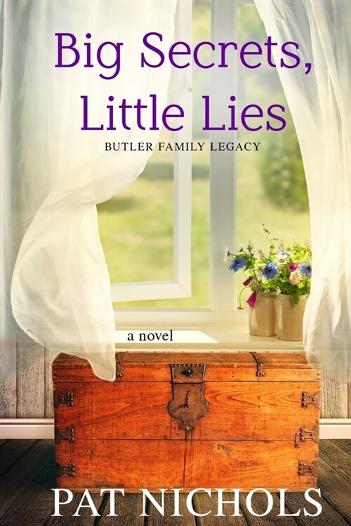 Big Secret, Little Lies (Paperback)