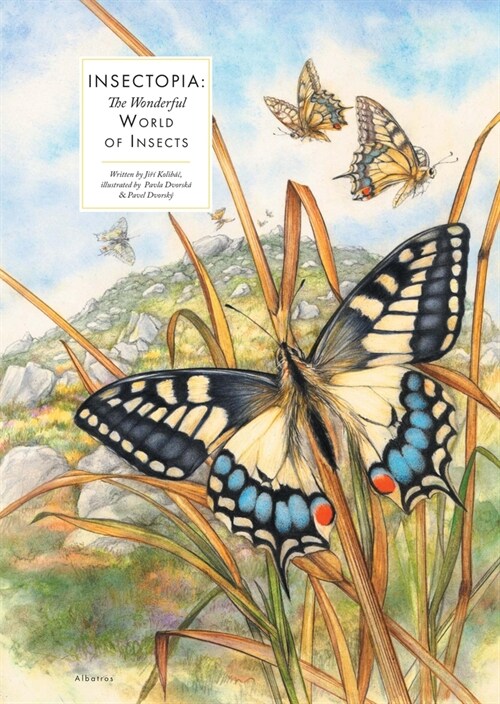 Insectopia: The Wonderful World of Insects (Hardcover)