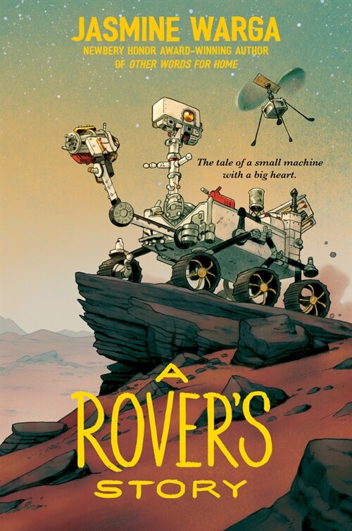 A Rovers Story (Paperback)