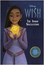 Disney Wish: The Junior Novelization (Paperback)
