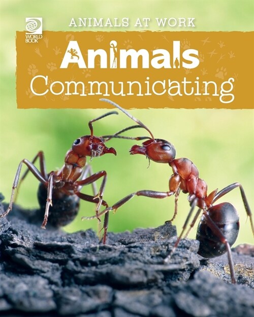 Animals Communicating (Paperback)