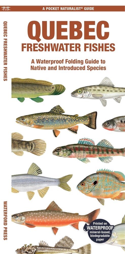 Quebec Freshwater Fishes: A Waterproof Folding Guide to Native and Introduced Species (Paperback)