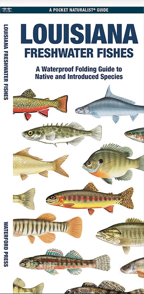 Louisiana Freshwater Fishes: A Waterproof Folding Guide to Native and Introduced Species (Paperback)