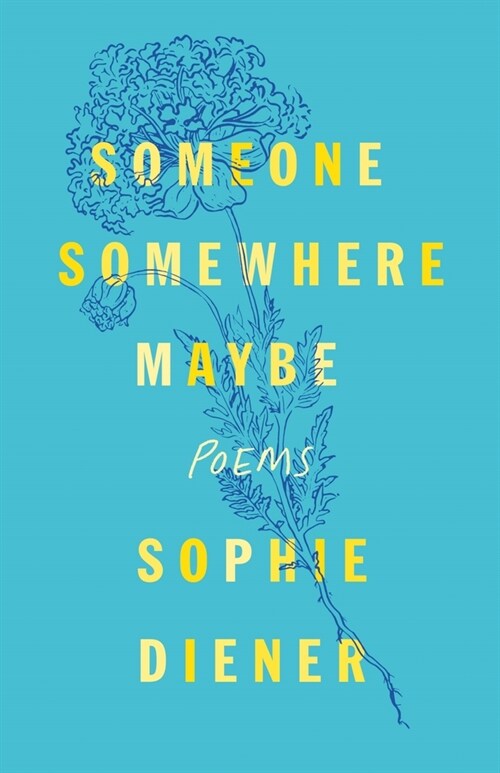 Someone Somewhere Maybe: Poems (Paperback)