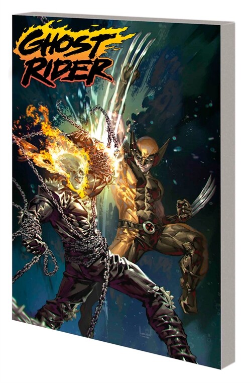 Ghost Rider Vol. 2: Shadow Country (Paperback)