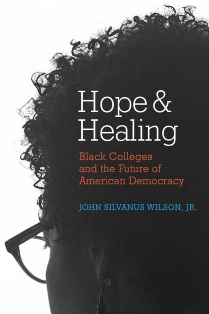 Hope and Healing: Black Colleges and the Future of American Democracy (Paperback)