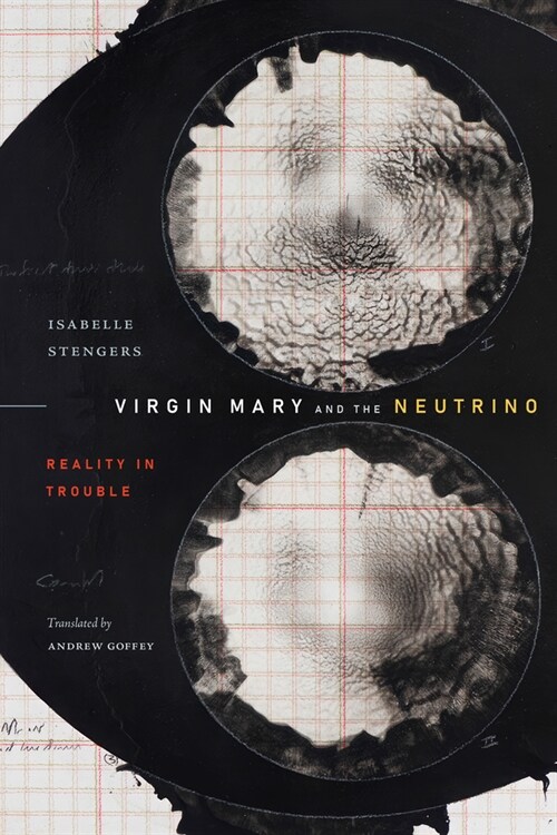 Virgin Mary and the Neutrino: Reality in Trouble (Paperback)
