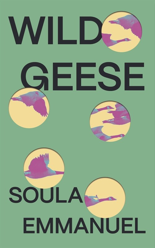 Wild Geese (Paperback)