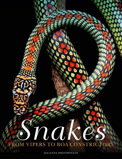 Snakes : From Vipers to Boa Constrictors (Hardcover)