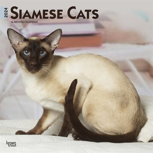 Siamese Cats 2024 Square (Wall)