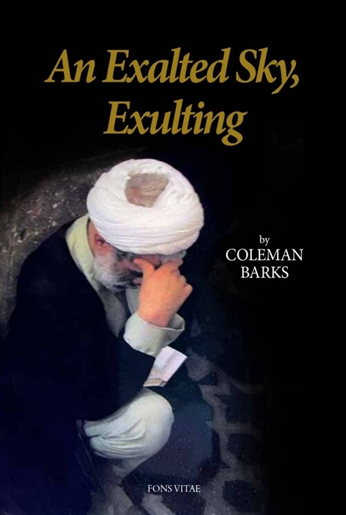 An Exalted Sky, Exulting (Paperback)