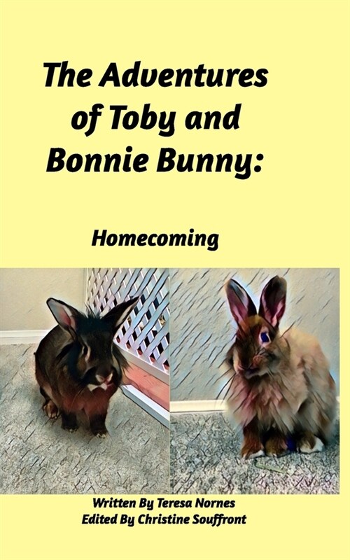 The Adventures of Toby and Bonnie Bunny: Homecoming (Paperback)