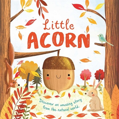 Nature Stories: Little Acorn-Discover an Amazing Story from the Natural World: Padded Board Book (Board Books)