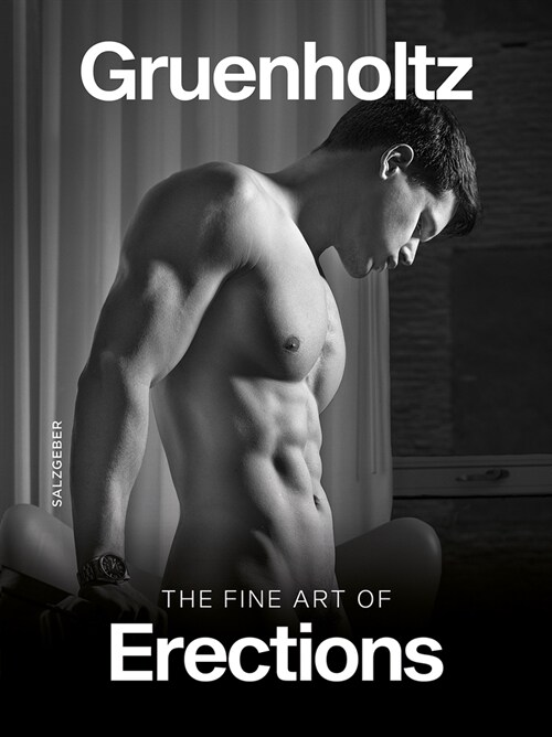 The Fine Art of Erections (Hardcover)