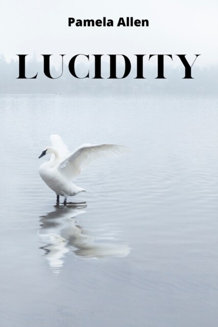 Lucidity (Paperback)