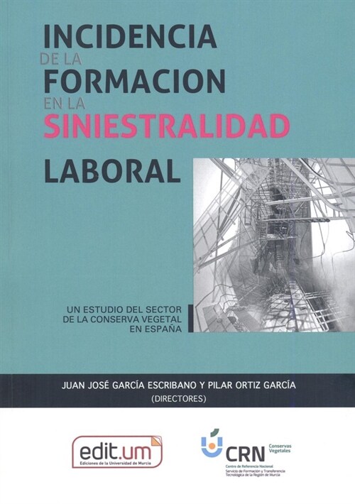 INCIDENCIA DE LA FORMACION EN LA SINIESTRALIDAD LABORAL (Other Book Format)