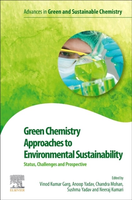 Green Chemistry Approaches to Environmental Sustainability: Status, Challenges and Prospective (Paperback)