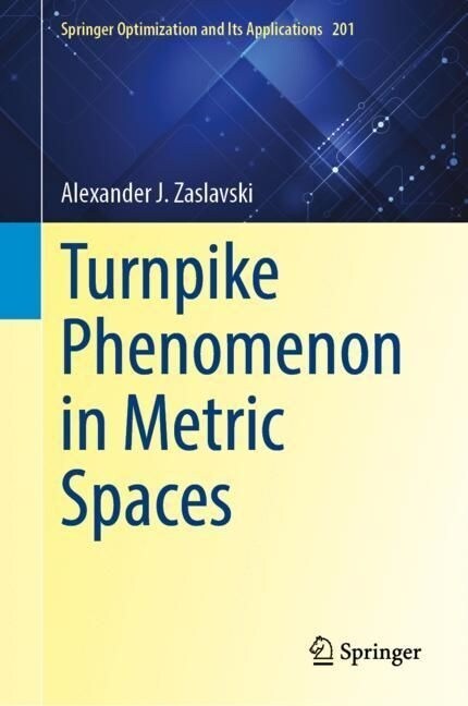 Turnpike Phenomenon in Metric Spaces (Hardcover)