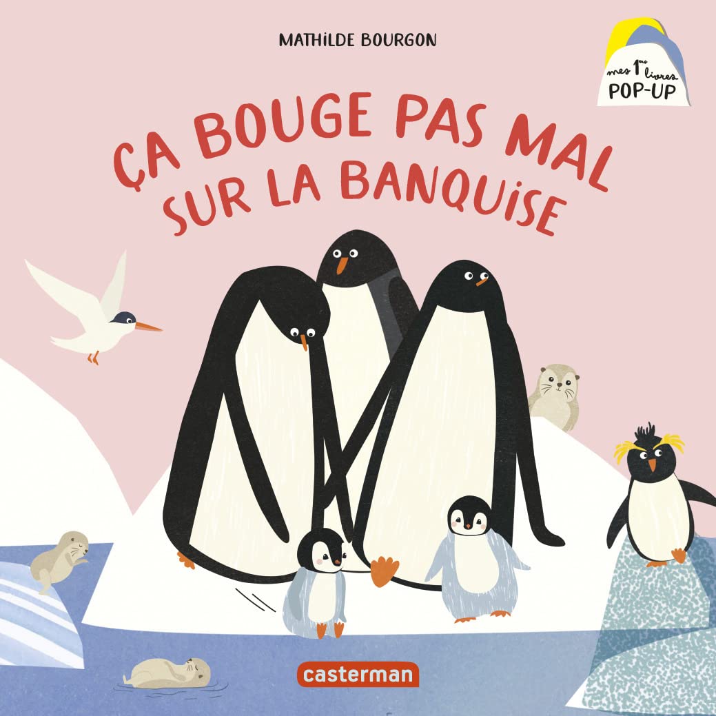 Ca bouge pas mal sur la banquise (Board Book)