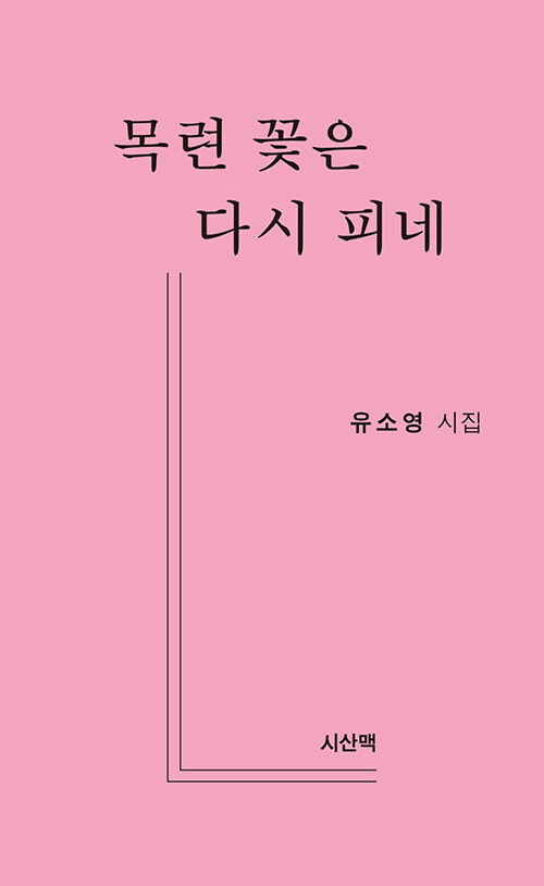 목련 꽃은 다시 피네