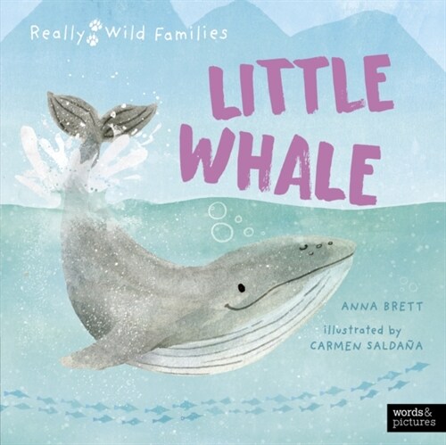 Little Whale : A Day in the Life of a Whale Calf (Hardcover)