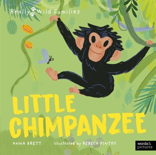Little Chimpanzee : A Day in the Life of a Baby Chimp (Hardcover)