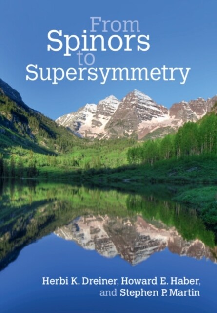 From Spinors to Supersymmetry (Hardcover)