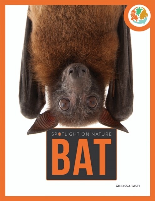 Spotlight on Nature: Bat (Paperback)