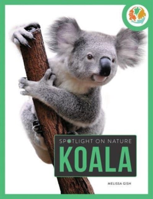 Spotlight on Nature: Koala (Paperback)