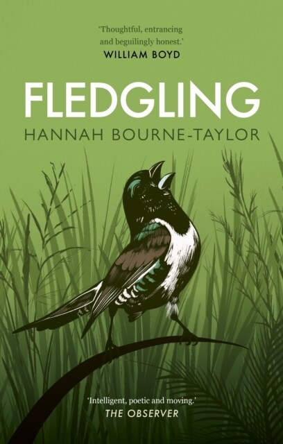 Fledgling (Paperback)