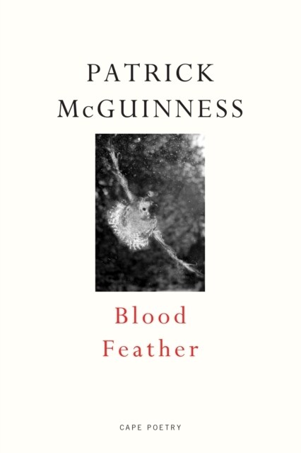 Blood Feather (Paperback)