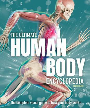 The Ultimate Human Body Encyclopedia : The complete visual guide (Hardcover)