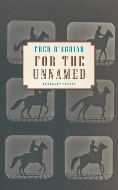 For the Unnamed (Paperback)