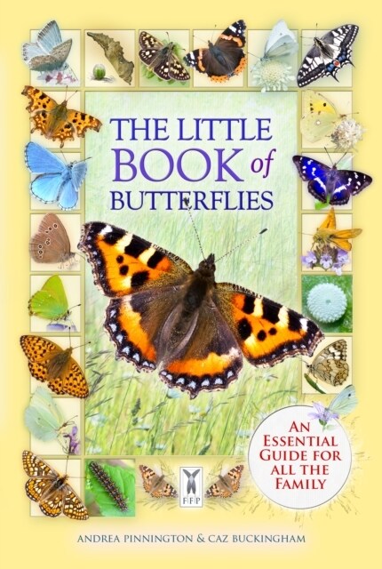 The Little Book of Butterflies (Paperback)