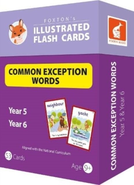 Common Exception Words Flash Cards: Year 5 and Year 6 Words - Perfect for Home Learning - with 102 Colourful Illustrations (Cards)