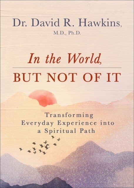 In the World, But Not of It : Transforming Everyday Experience into a Spiritual Path (Paperback)