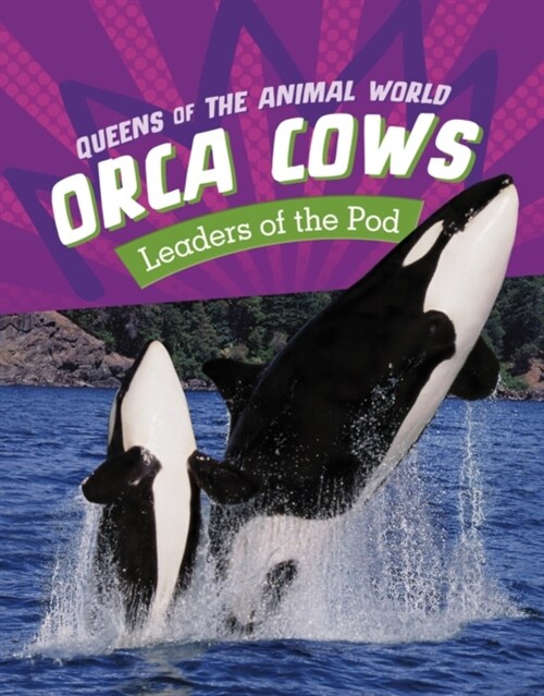 Orca Cows : Leaders of the Pod (Hardcover)